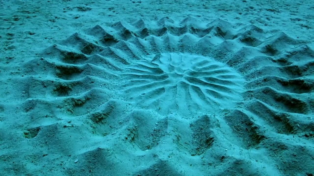 un peste construieste in nisip